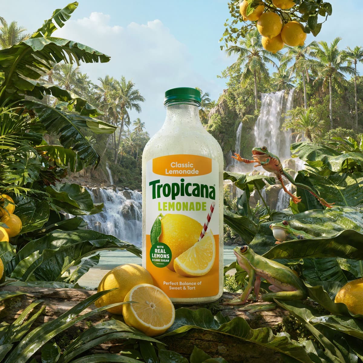 Classic Lemonade