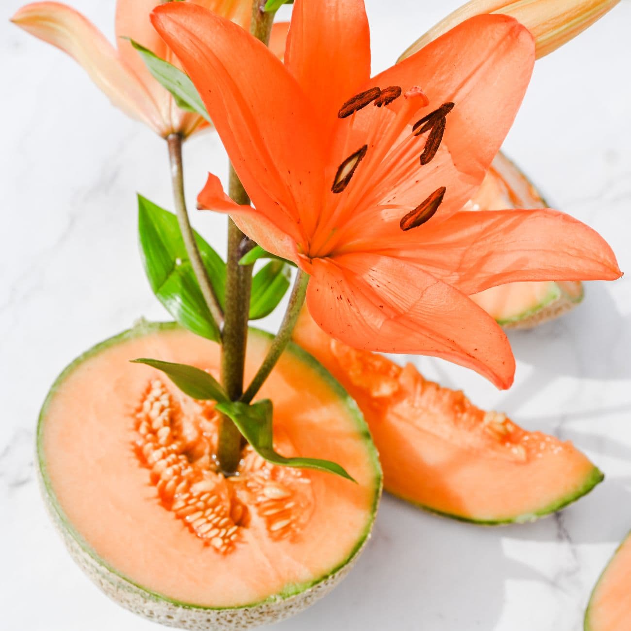 Cantaloupe