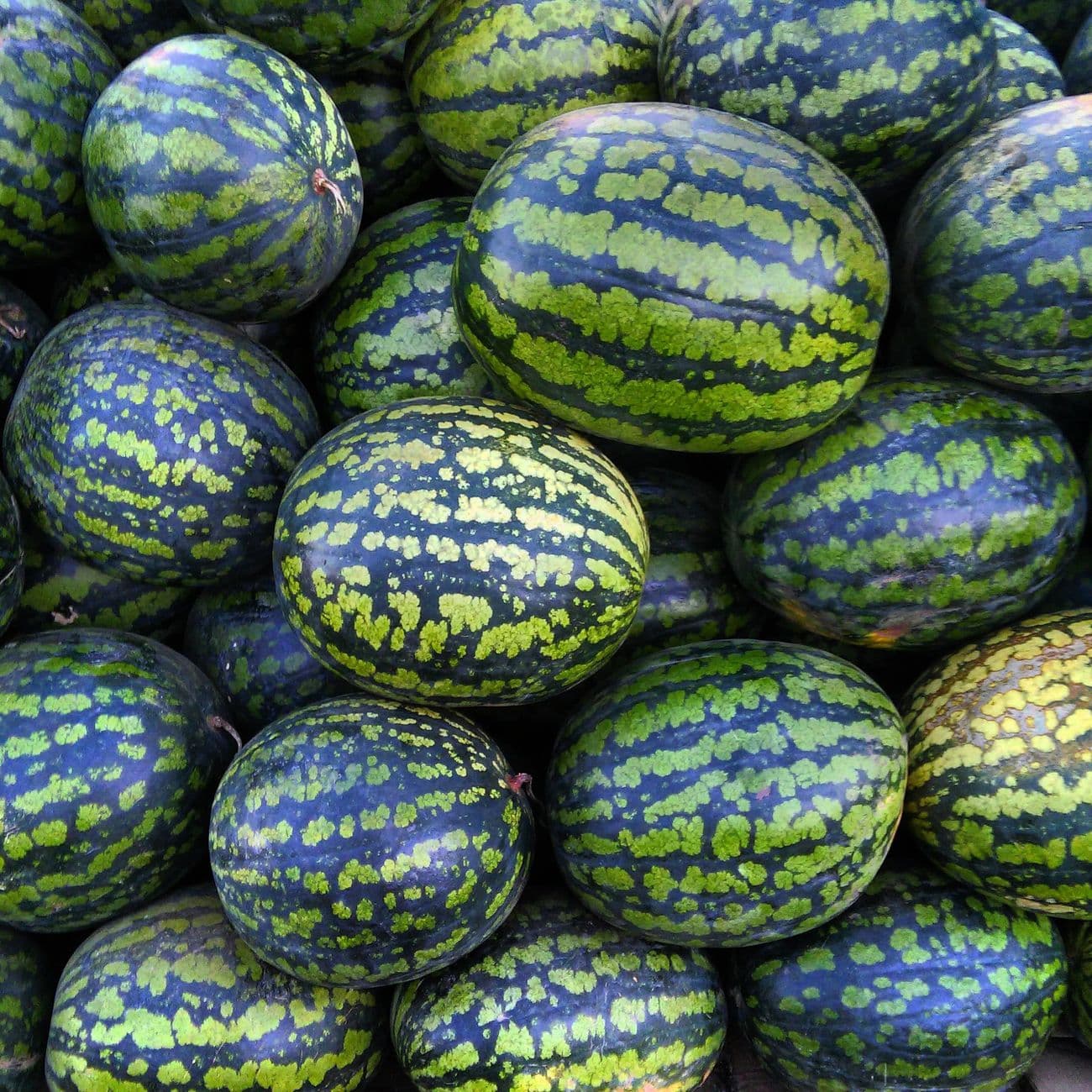 Watermelon