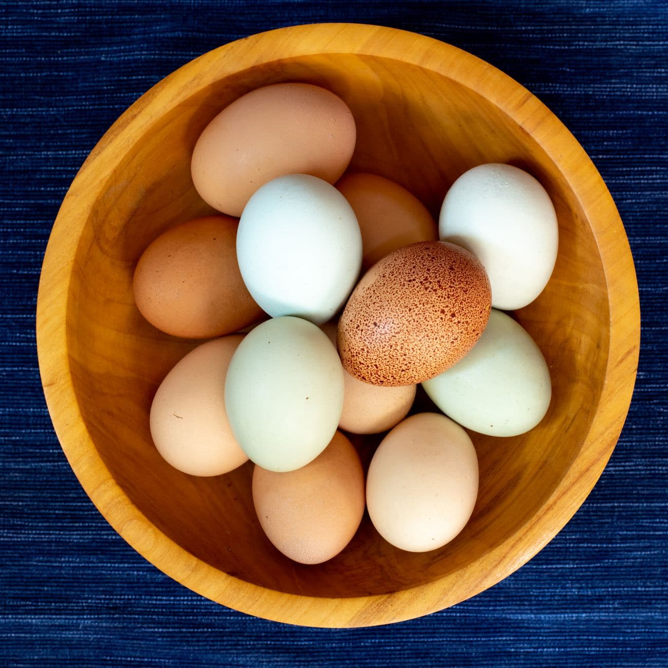 Egg