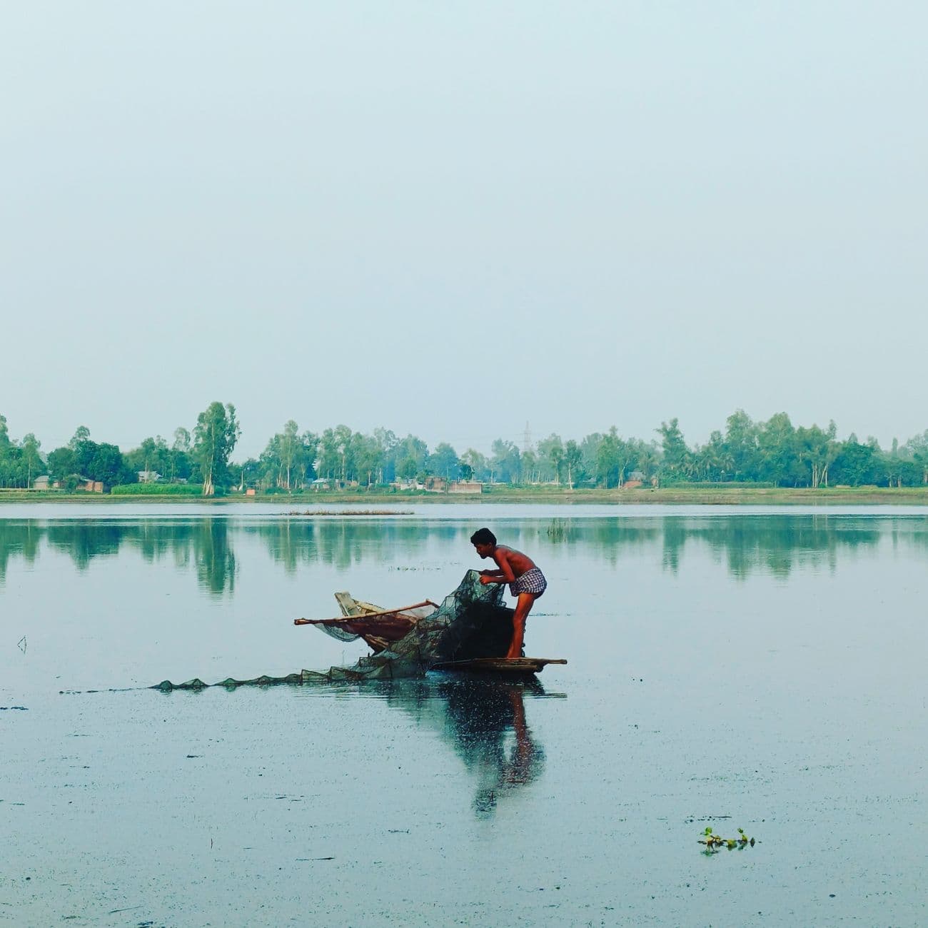 Rohu