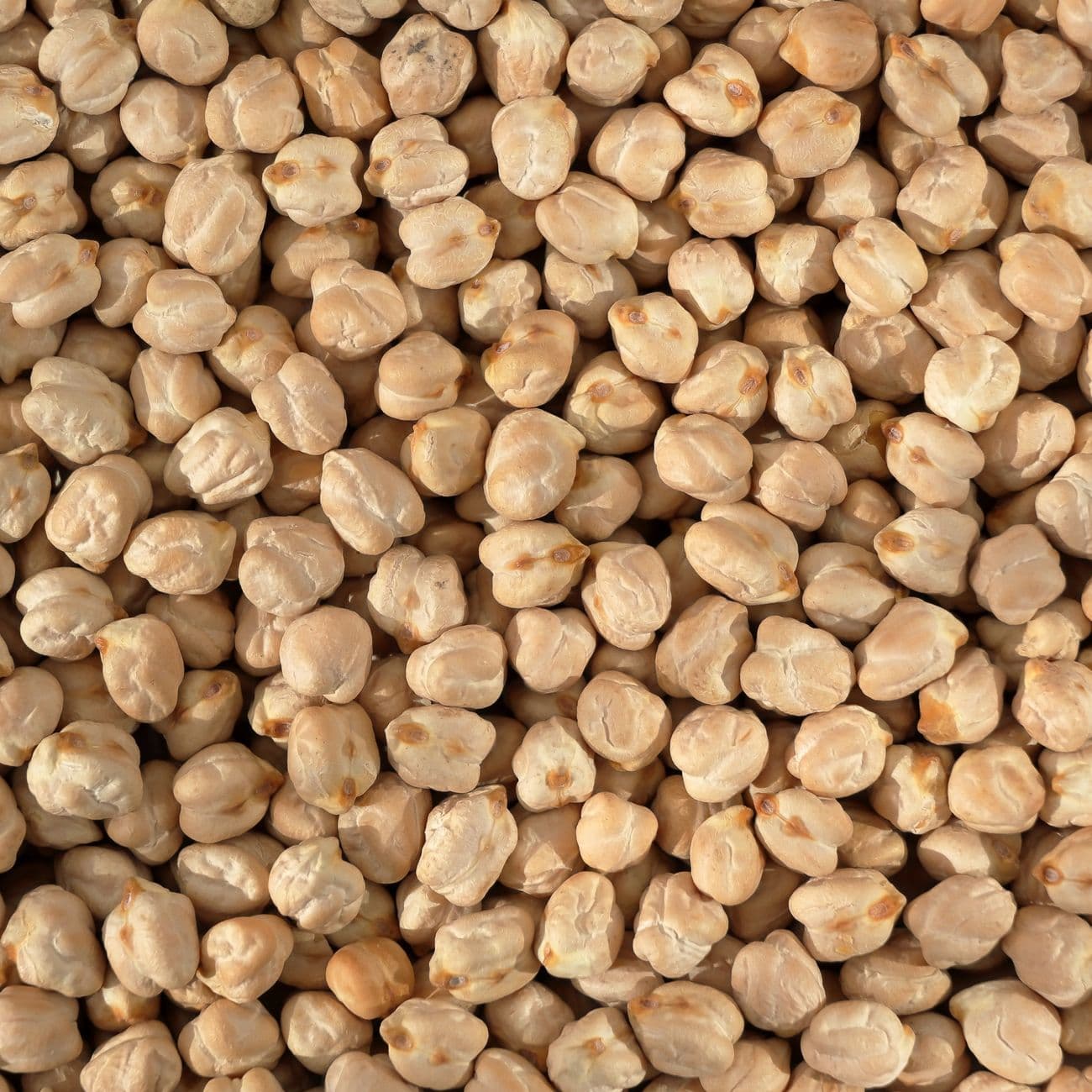 Kadalai Paruppu - Dhal - Gram