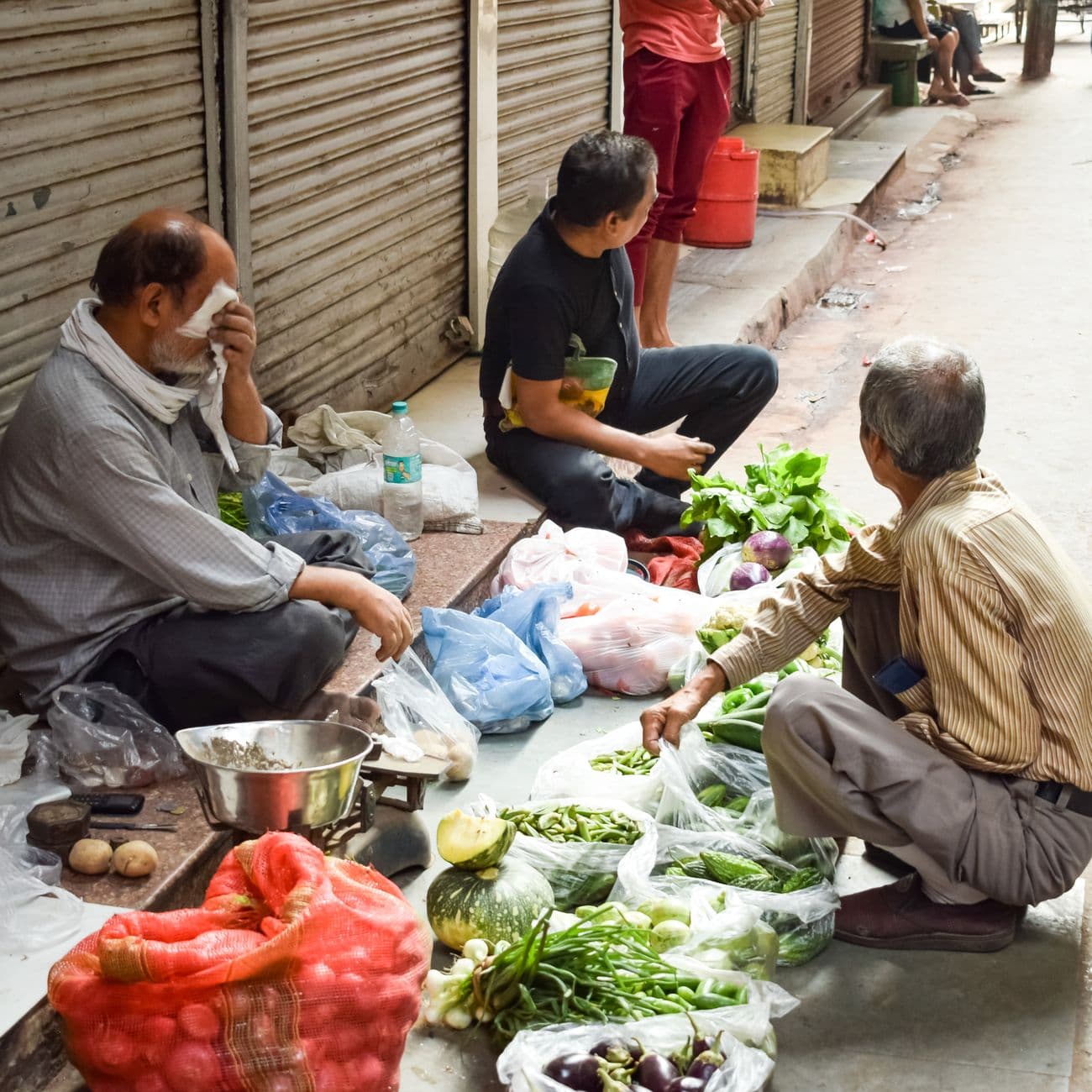 Brinjal - Green