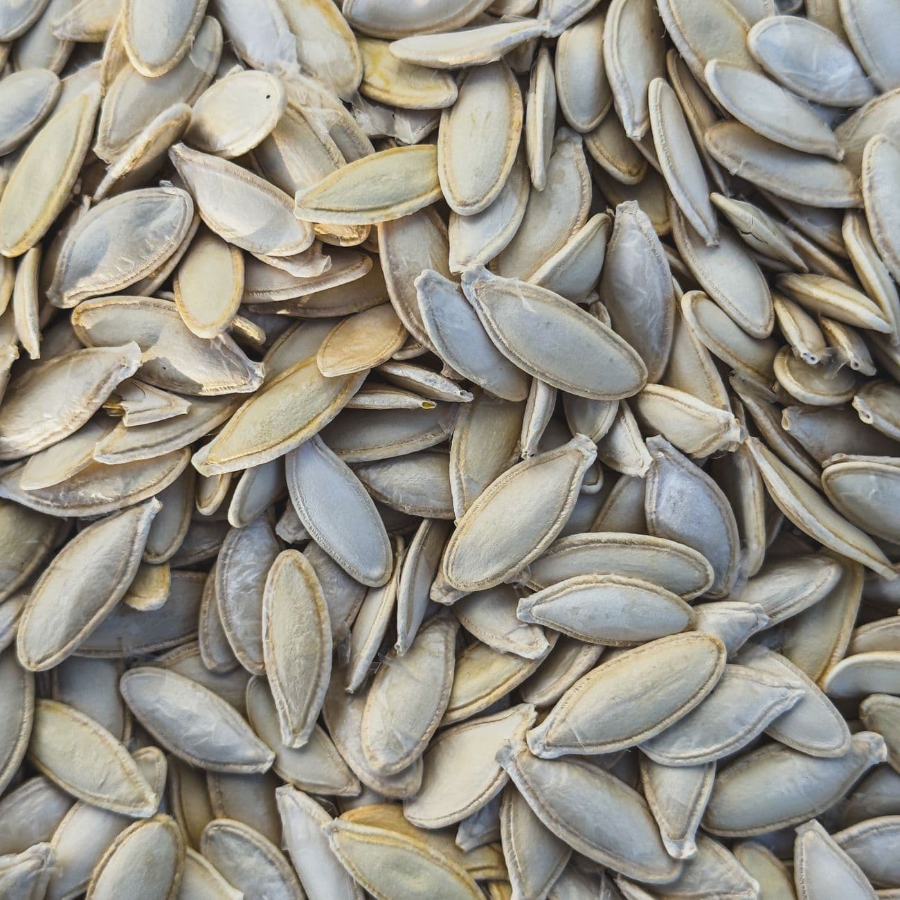 Rice - Karnataka Ponni
